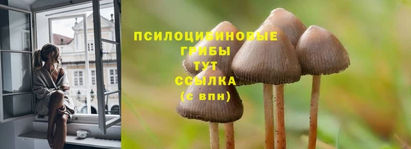 альфа пвп Инта