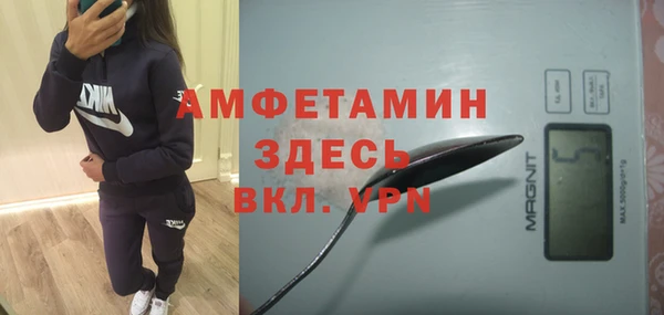 прущая мука Инсар
