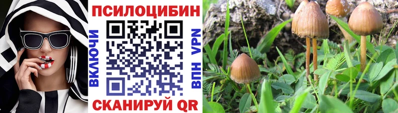 Псилоцибиновые грибы Magic Shrooms  Купить  Сим 